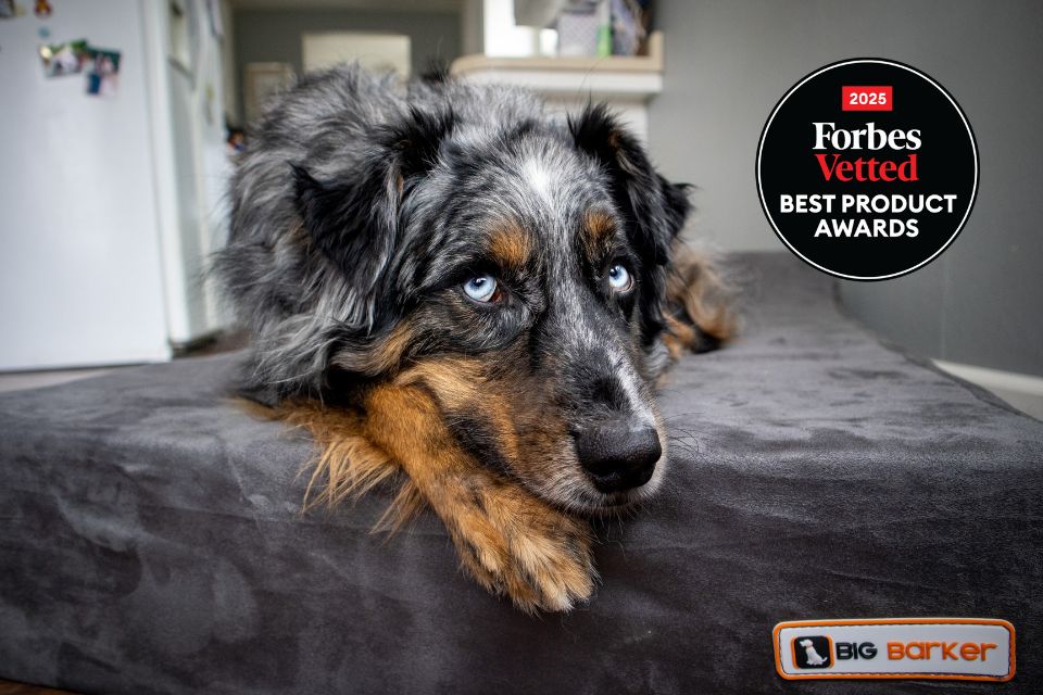 Forbes Vetted Names Barker Beds a 2025 Best Product Winner