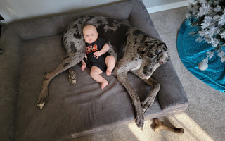 Cuddle Up With Your Pup Contest Winners!