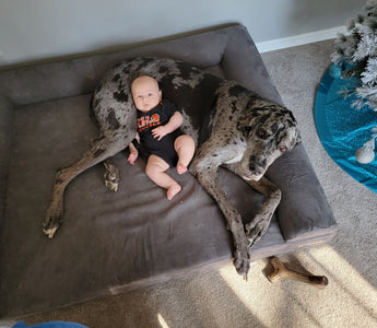 Cuddle Up With Your Pup Contest Winners!