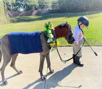2021 Halloween Costume Contest Winners!