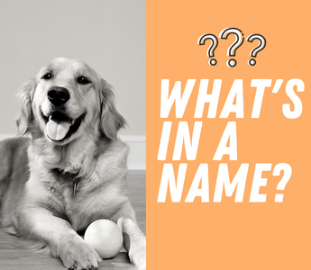 What's in a Name?