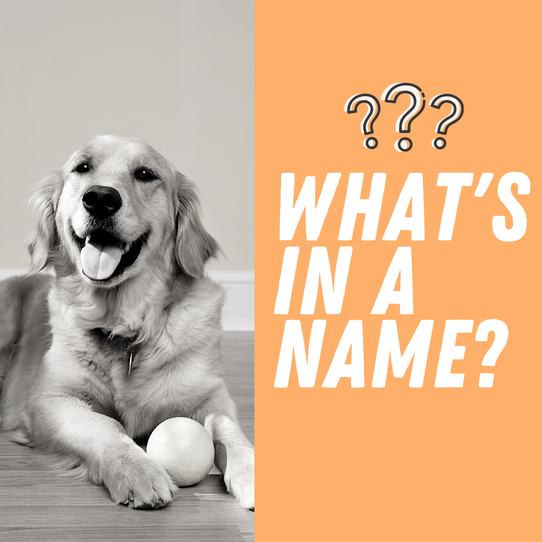 What's in a Name?