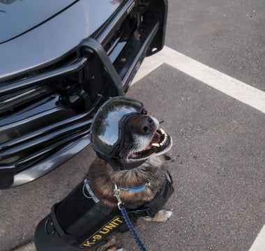 From Service to Retirement: The Story of Bartles, A True K9 Hero