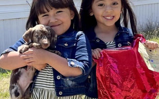4-Year-Old Twins Surprised with Puppy After Stranger Finds Balloon 650 Miles Away