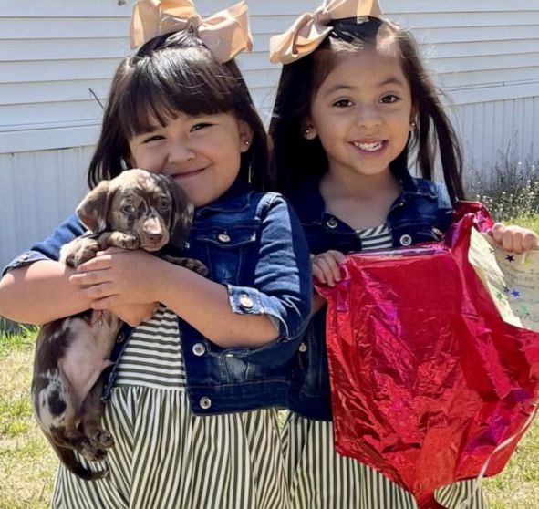4-Year-Old Twins Surprised with Puppy After Stranger Finds Balloon 650 Miles Away