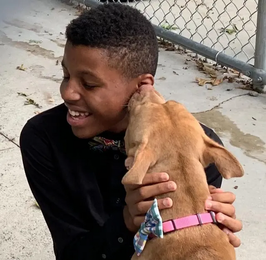 This Teen Makes Bow Ties for Shelter Dogs to Help Them Get Adopted