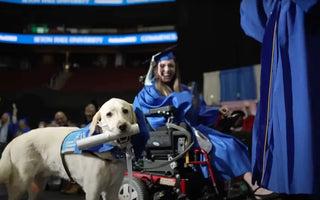 Service Dog Graduates from Seton Hall University