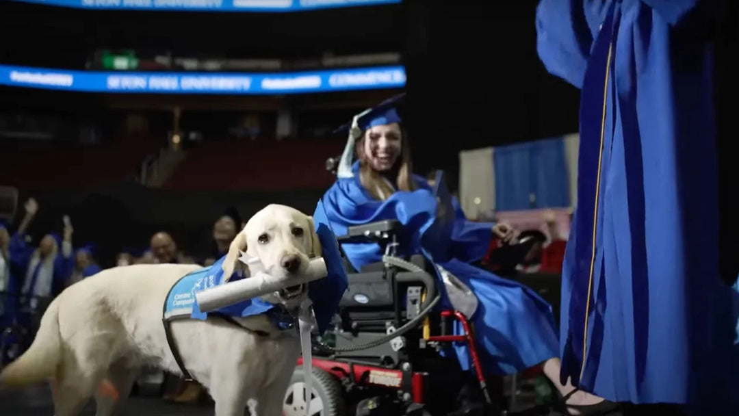 Service Dog Graduates from Seton Hall University