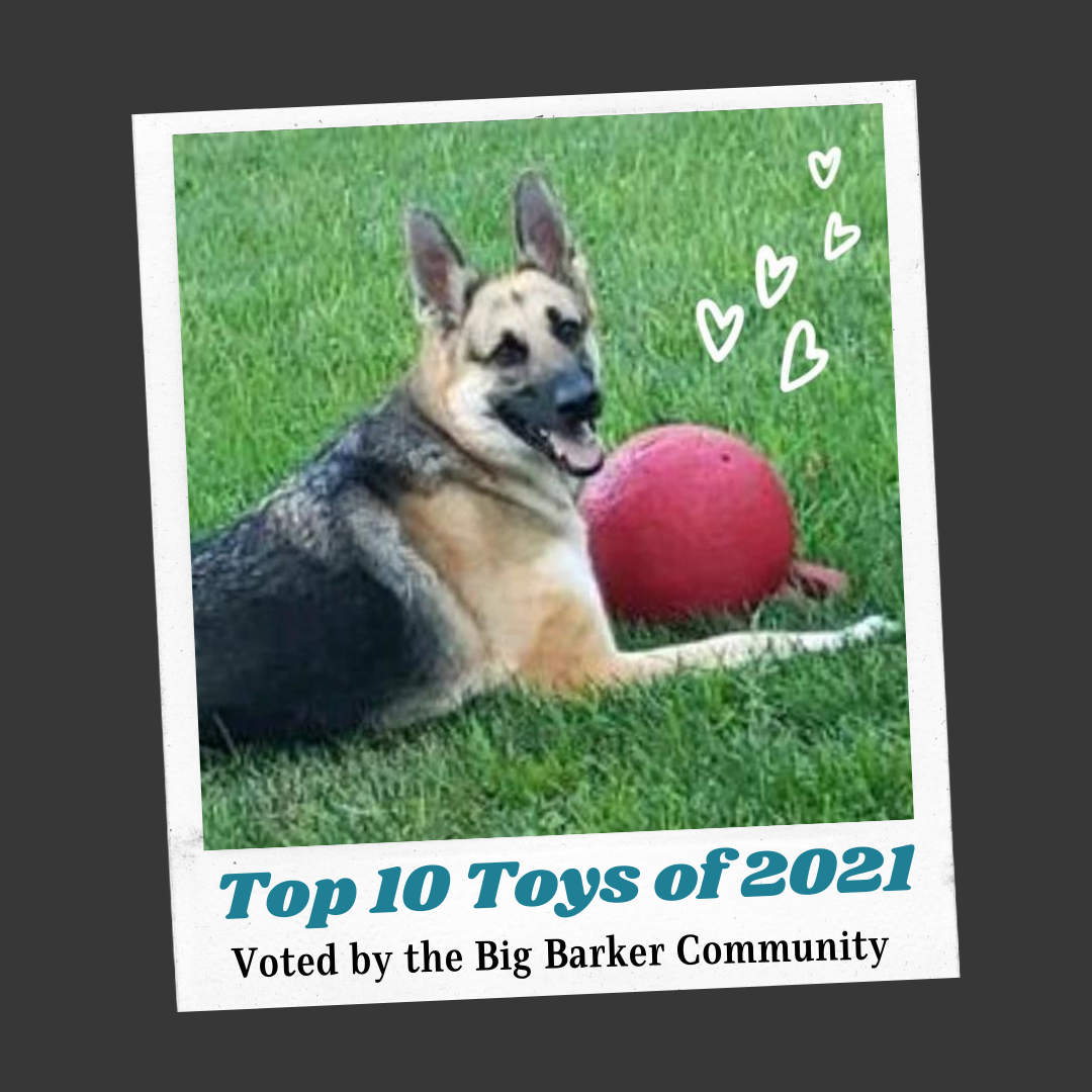 Top 10 Toys of 2021: Voted by the Big Barker Community