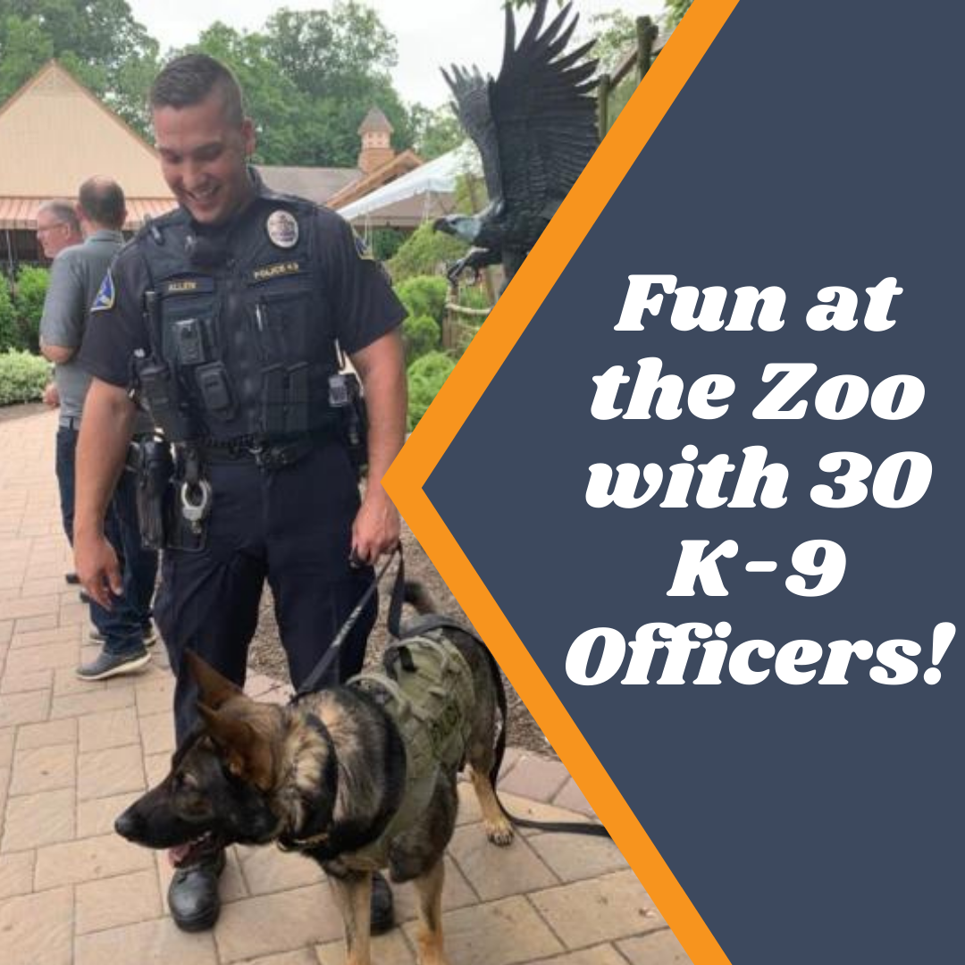 Fun at the Zoo with 30 K-9 Officers!