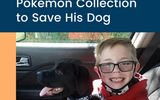 A Boy Sold His Pokémon Collection to Save His Dog