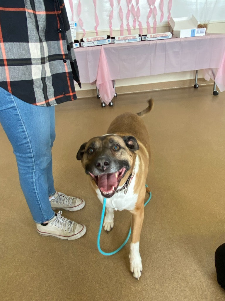 After Nearly Five Years in a Shelter, a Dog in Nebraska Has Been Adopted