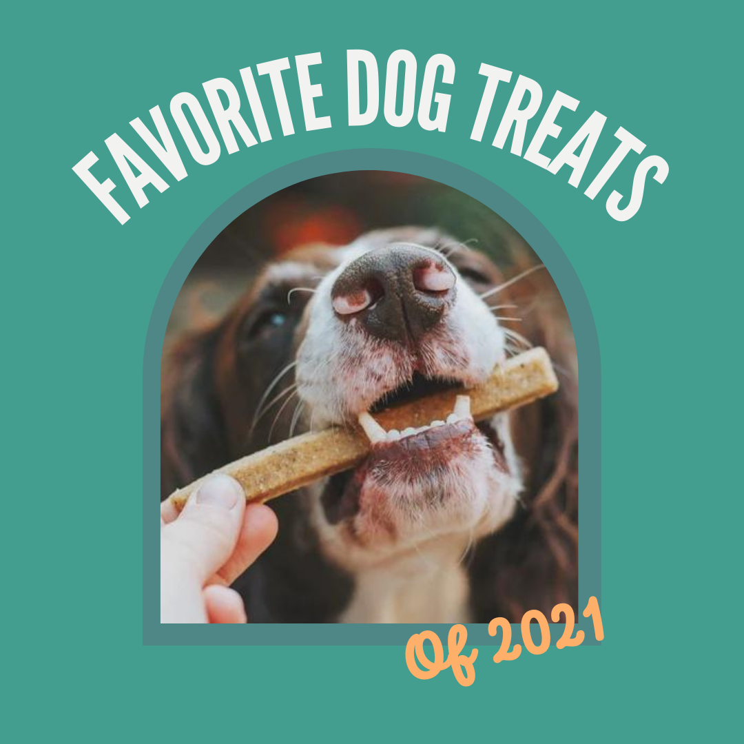 Favorite Dog Treats of 2021