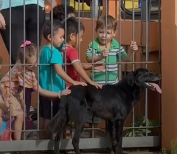 Children petting dog at school