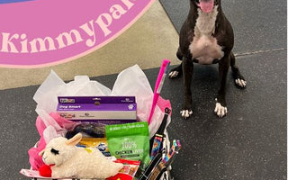 Longest Shelter Stay in Michigan Comes to a Joyous End!