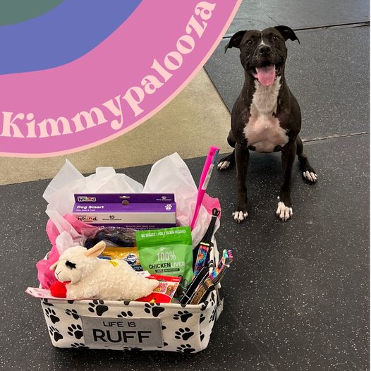 Longest Shelter Stay in Michigan Comes to a Joyous End!