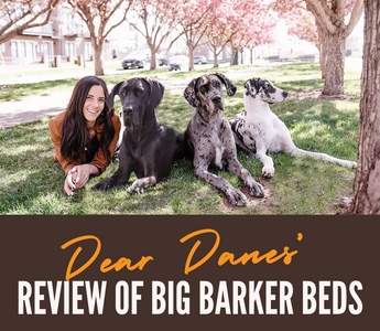 Dear Danes’ Review of Big Barker Beds