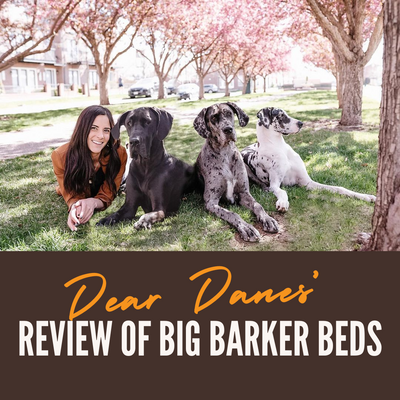 Dear Danes’ Review of Big Barker Beds