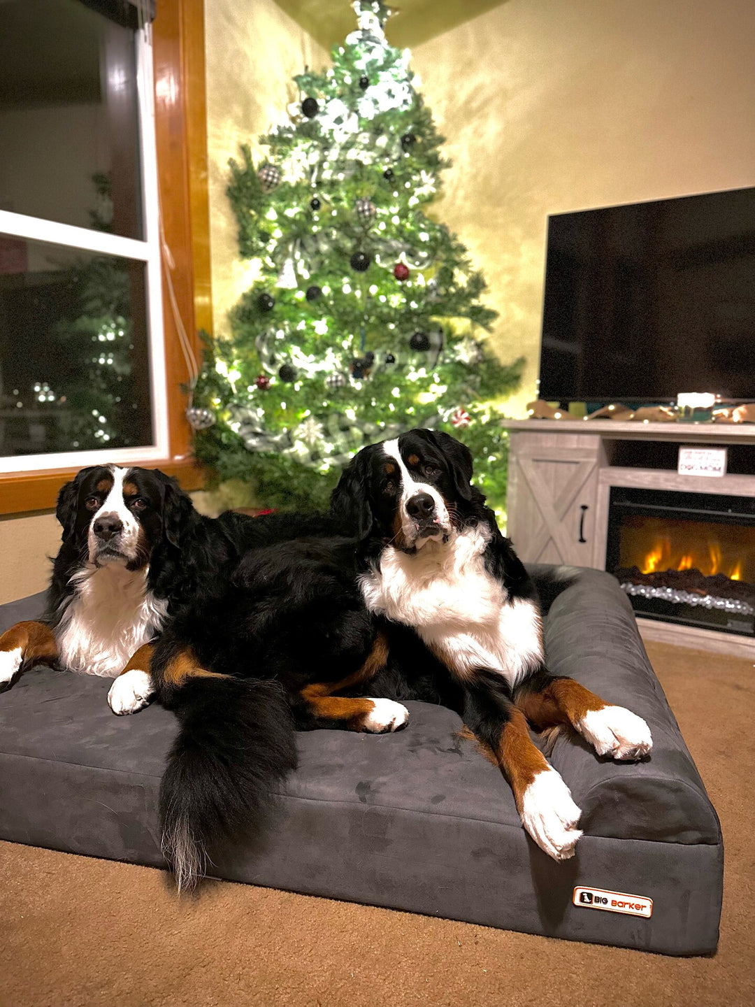 Happy Howlidays 2022 Contest Winners!