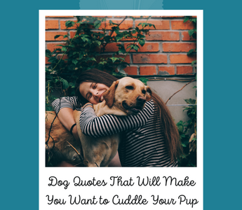 Dog Quotes That Will Make You Want to Cuddle Your Pup