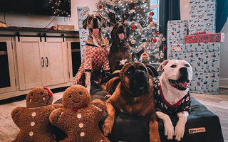 Happy Howlidays 2023 Contest Winners!