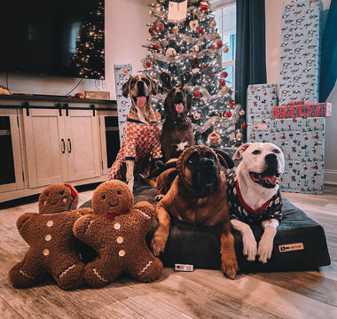 Happy Howlidays 2023 Contest Winners!
