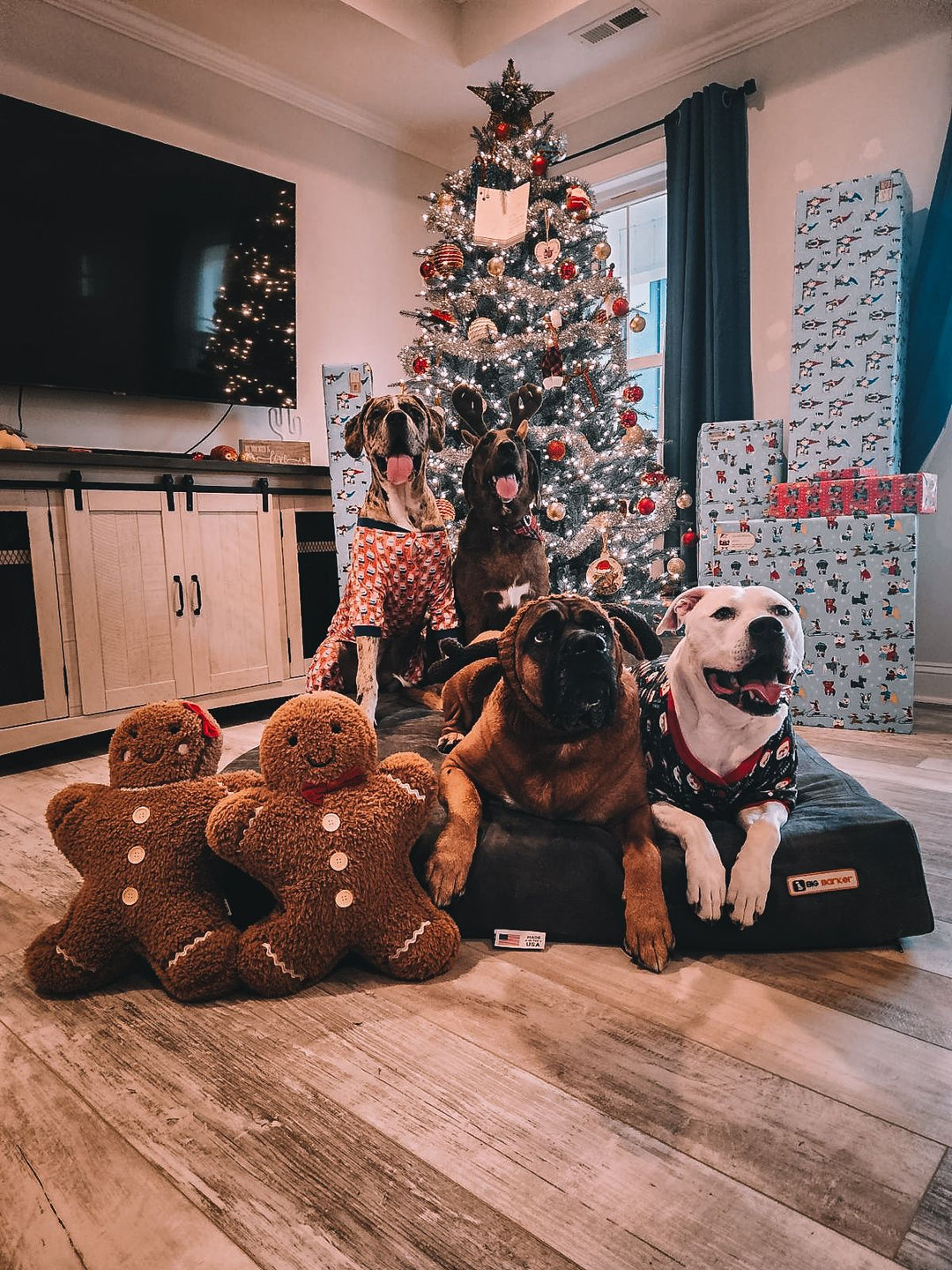 Happy Howlidays 2023 Contest Winners!