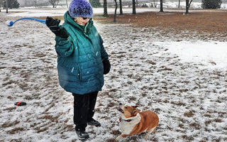 Dog Saved From Frozen Lake by Police and Good Samaritan