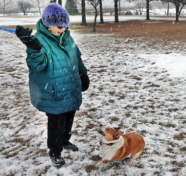 Dog Saved From Frozen Lake by Police and Good Samaritan