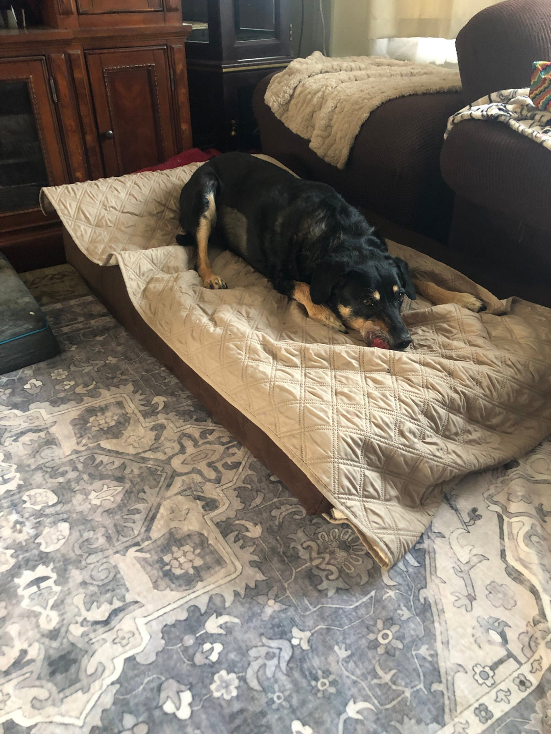 in a living room, a dog is laying on a barker bed with a blanket on it
