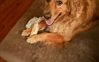 a dog laying on a barker bed with a bone