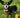 a dog wearing a bowtie in a flowery field
