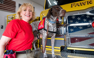 Meet York County's Newest Therapy Dogs