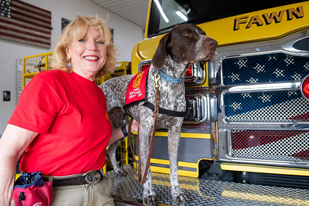Meet York County's Newest Therapy Dogs
