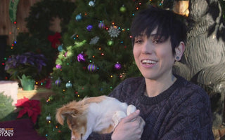 A Winter Wonderland for Special Needs Foster Dogs!