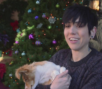 A Winter Wonderland for Special Needs Foster Dogs!