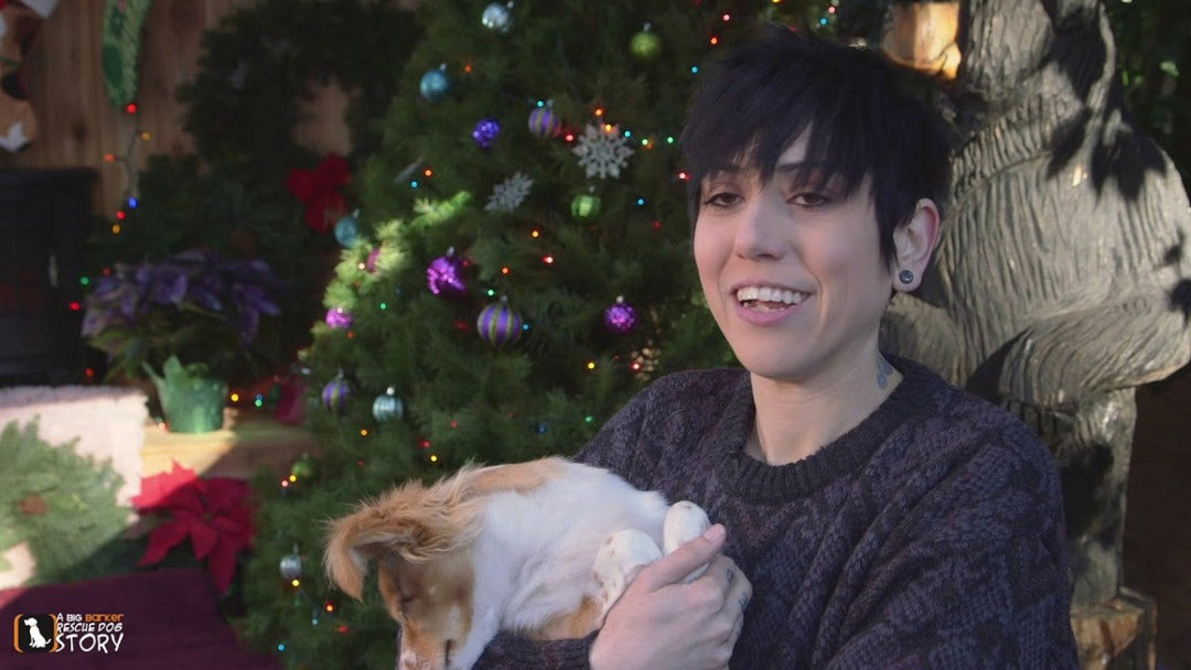 A Winter Wonderland for Special Needs Foster Dogs!