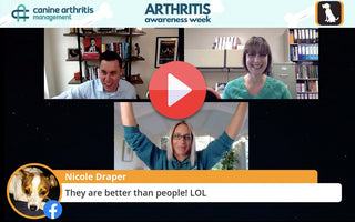 Arthritis is a Young Dog Disease | Arthritis Awareness Week Day 5