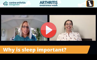 Lifestyle and Home Modification | Arthritis Awareness Week Day 4
