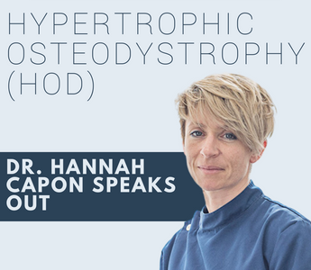 Can pet parents prevent hypertrophic osteodystrophy (HOD)?