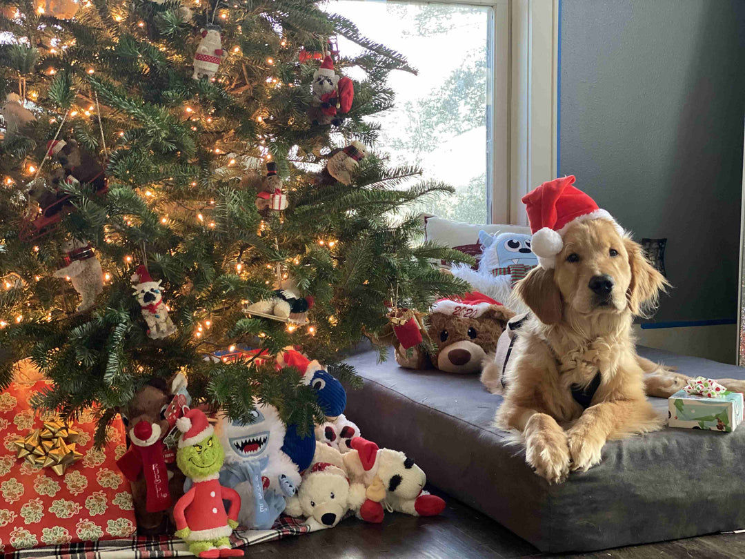 Big Barker | Happy Howlidays 2022
