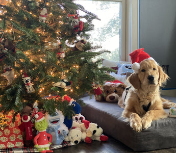 Happy Howlidays 2021 Photo Contest Winners!