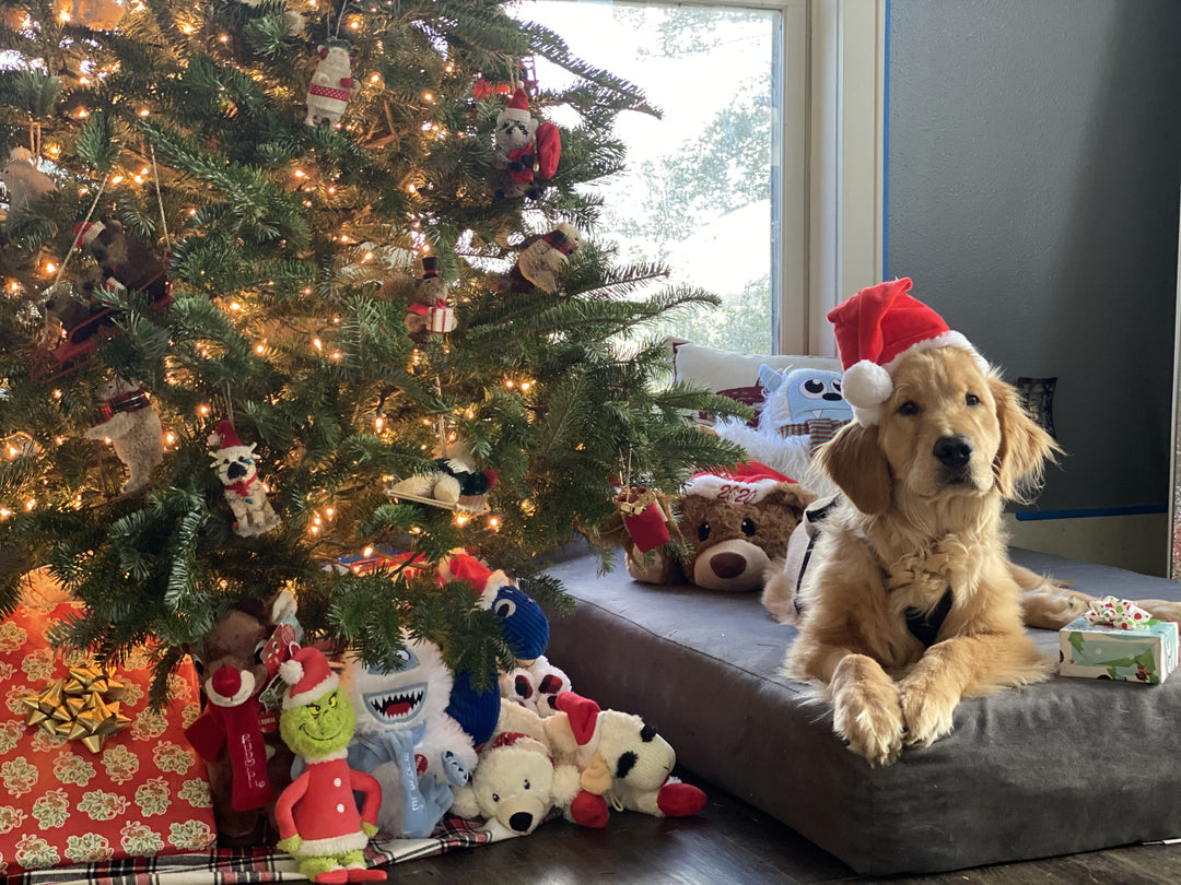 Happy Howlidays 2021 Photo Contest Winners!