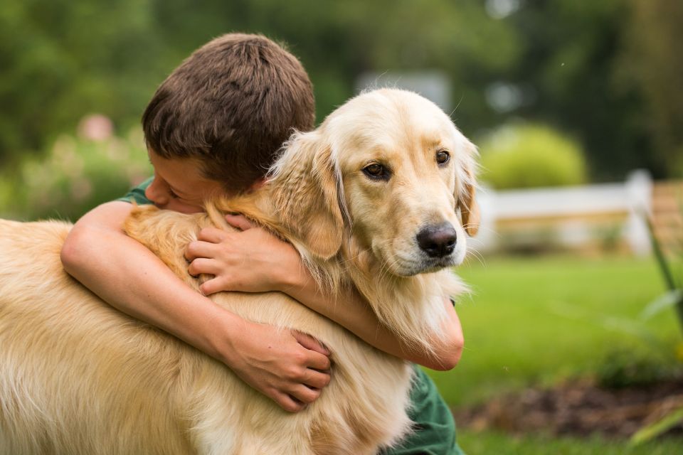 Heart Health for Your Pup: How to Celebrate American Heart Month Together
