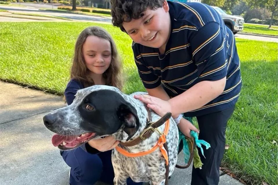 Family Dog Finds 11-Year-Old Boy Under Mudslide Debris During Hurricane Helene