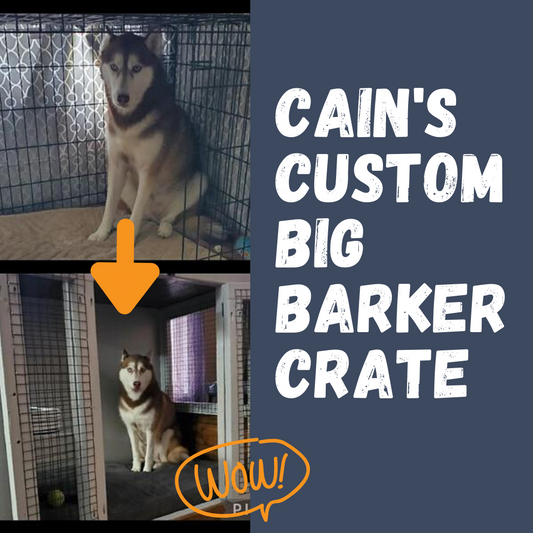 Cain's Custom Big Barker Crate