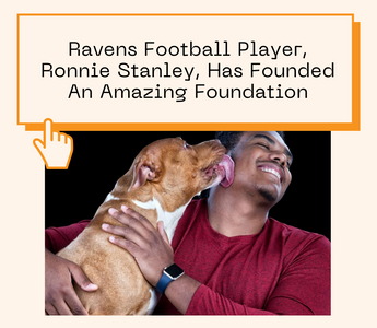 Ravens Football Player, Ronnie Stanley, Has Founded An Amazing Foundation