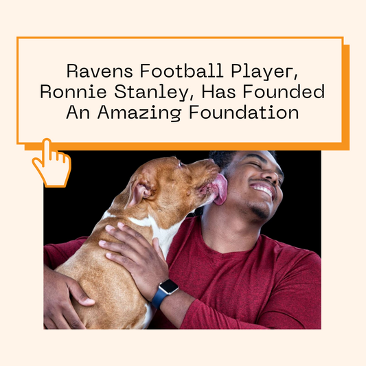 Ravens Football Player, Ronnie Stanley, Has Founded An Amazing Foundation