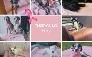 Donation Update: Breast Cancer Awareness Month