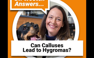 Can Calluses Lead to Hygromas?